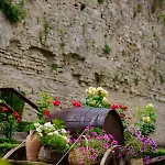 Hotel Real Scampis Elbasan