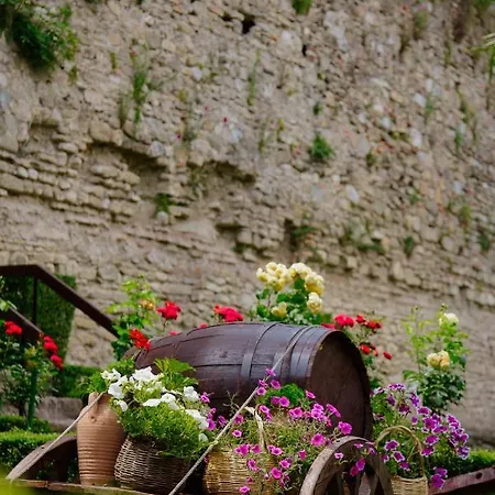 Отель Real Scampis Эльбасан