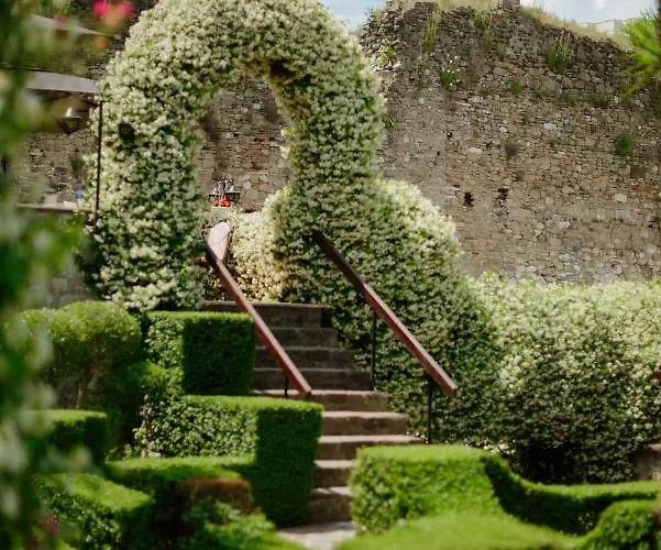 Real Scampis 엘바산