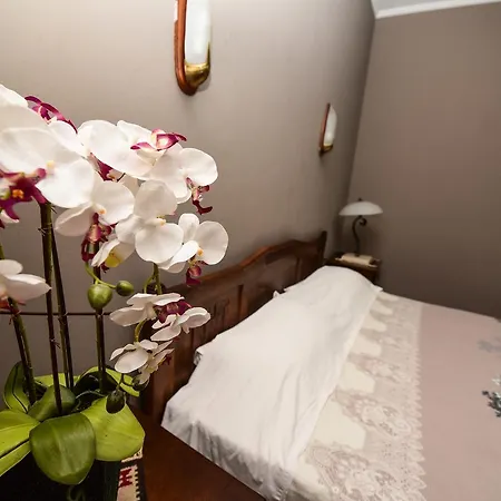 Real Scampis Hotel 3*
